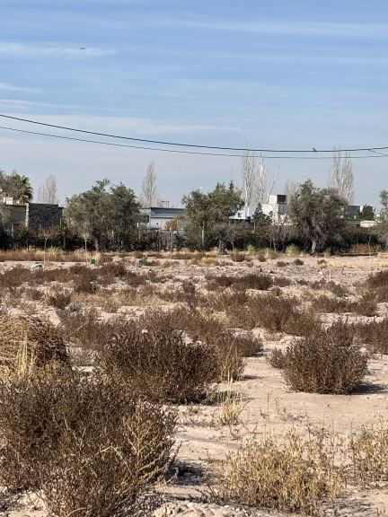 Lote en Venta en Lujan de Cuyo, Mendoza