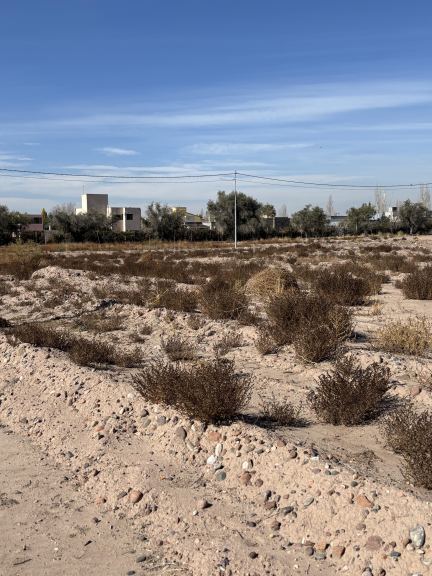 Lote en Venta en Lujan de Cuyo, Mendoza