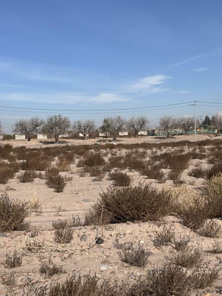 Lote en Venta en Lujan de Cuyo, Mendoza