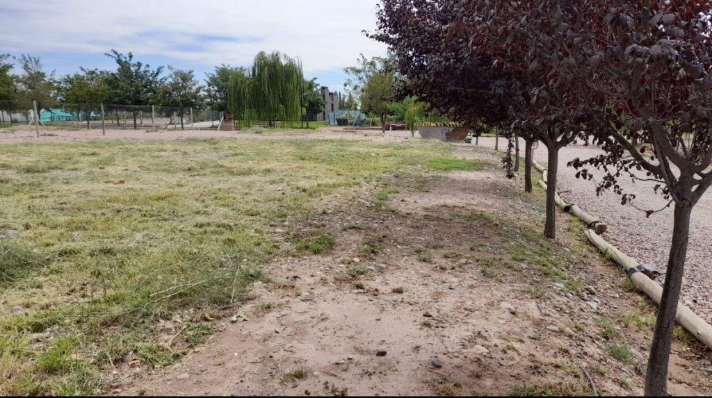 Lote en Venta en Lujan de Cuyo, Mendoza