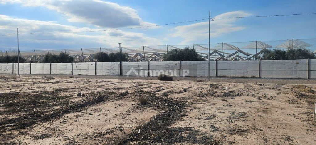 Lote en Venta en Lujan de Cuyo, Mendoza