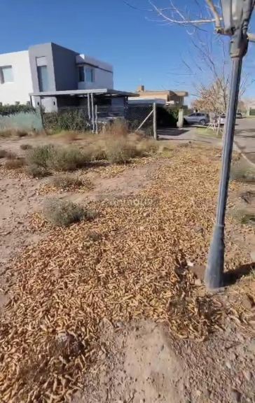 Lote en Venta en Maipu, Mendoza