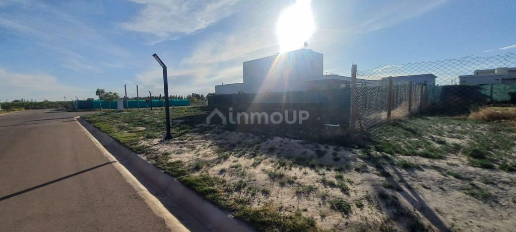 Lote en Venta en Junin, Mendoza