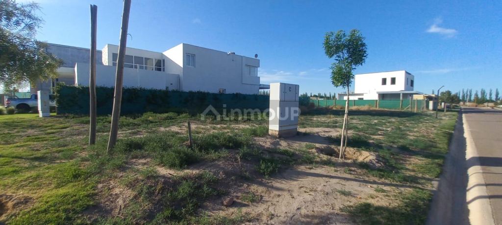 Lote en Venta en Junin, Mendoza