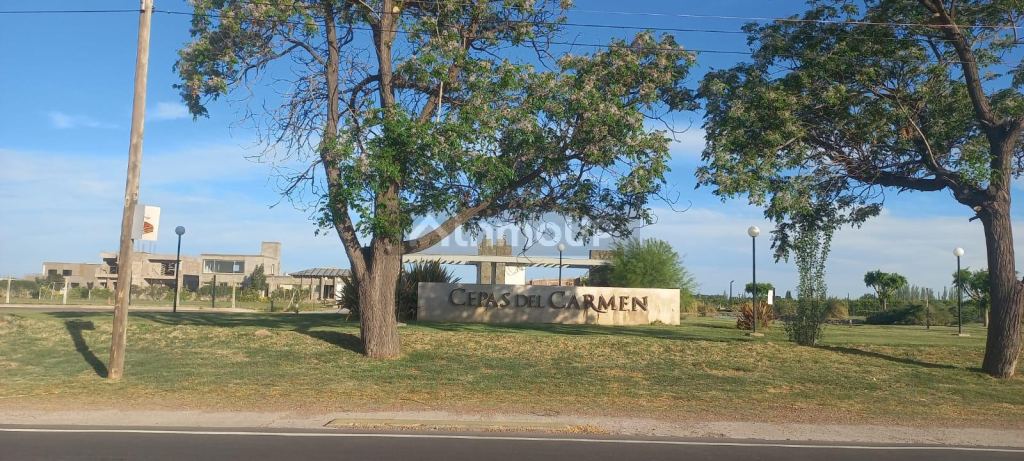 Lote en Venta en Junin, Mendoza