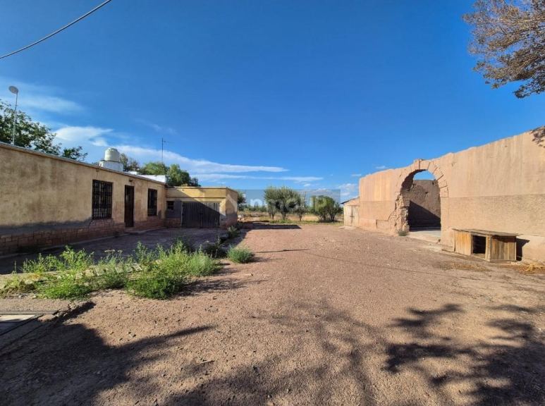 Finca en Venta en Maipu, Mendoza