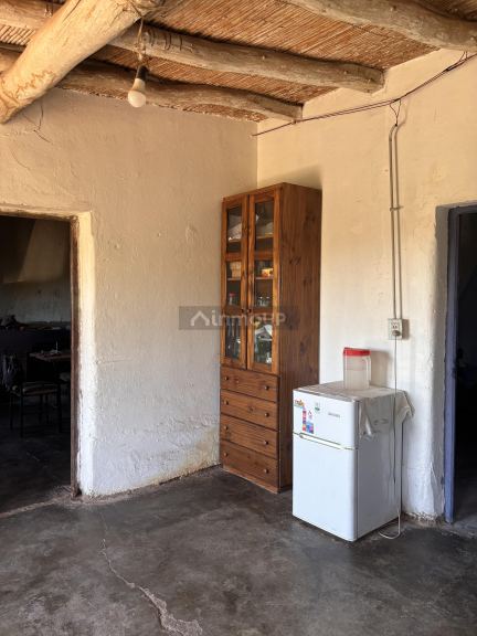 Finca en Venta en San Martin, Mendoza