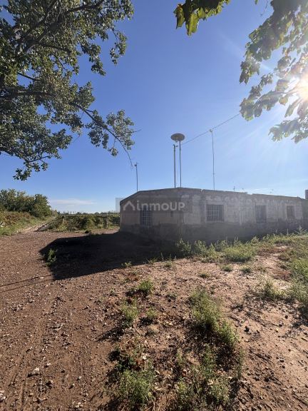 Finca en Venta en San Martin, Mendoza