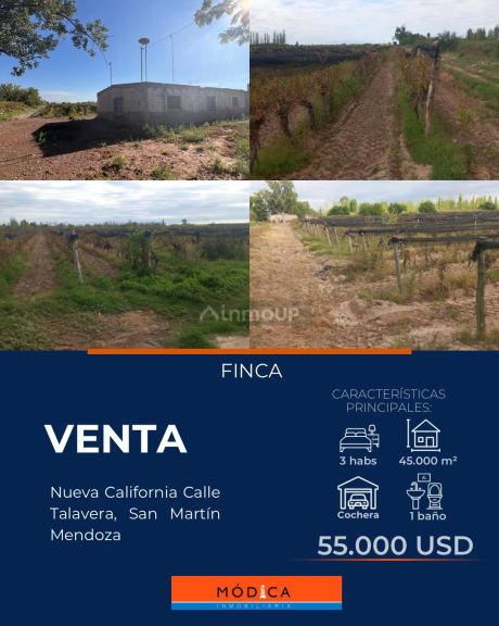 Finca en Venta en San Martin, Mendoza
