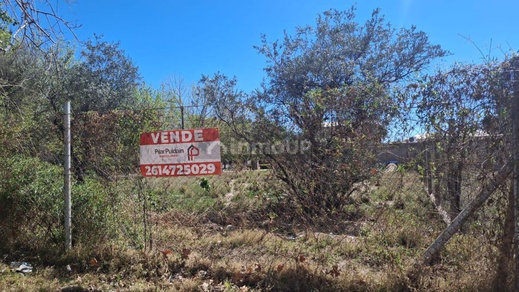 Lote en Venta en Lujan de Cuyo, Mendoza