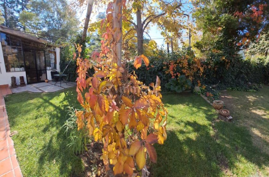 Casa en Alquiler en Lujan de Cuyo, Mendoza