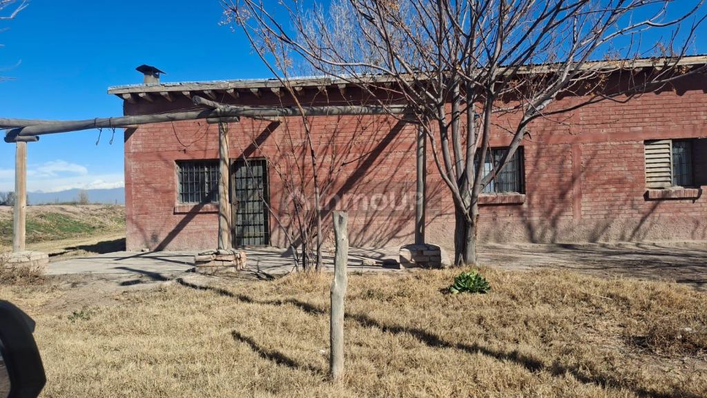 Finca en Venta en Lavalle, Mendoza - USD 850.000 | Inmoup - 6