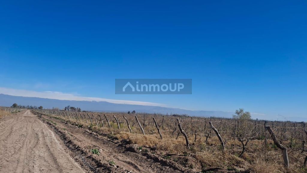 Finca en Venta en Lavalle, Mendoza - USD 850.000 | Inmoup - 9