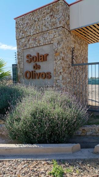 Terreno en Venta en Maipu, Mendoza