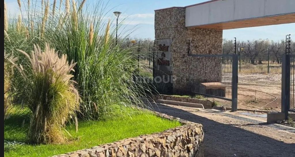 Terreno en Venta en Maipu, Mendoza
