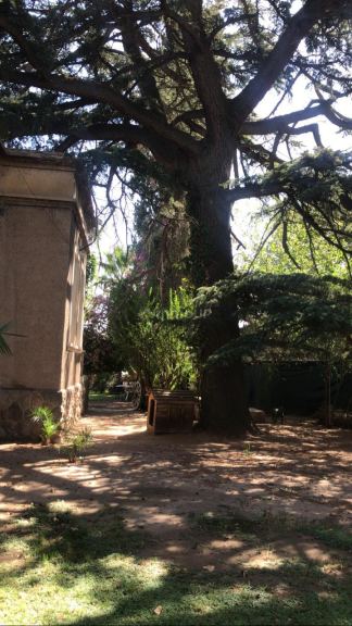 Casa en Venta en Godoy Cruz, Mendoza