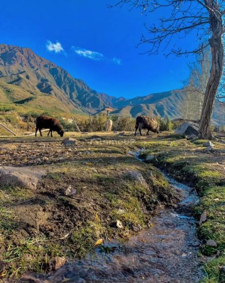 Lote en Venta en Lujan de Cuyo, Mendoza