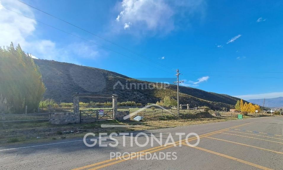 Lote en Venta en Lujan de Cuyo, Mendoza