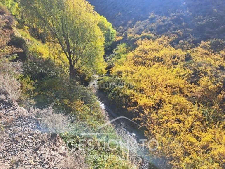 Lote en Venta en Lujan de Cuyo, Mendoza
