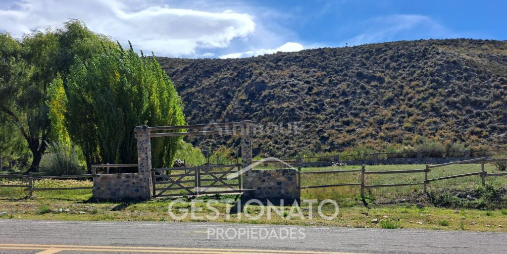 Lote en Venta en Lujan de Cuyo, Mendoza