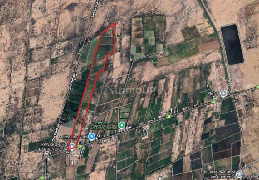 Finca en Venta en Las Heras, Mendoza
