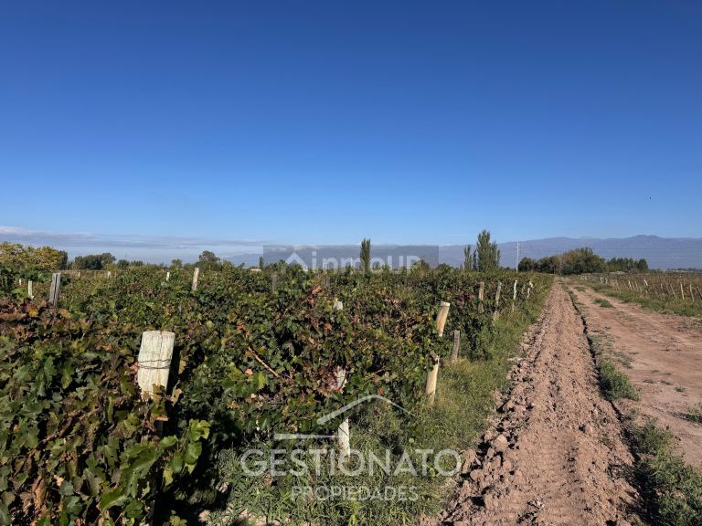 Finca en Venta en Las Heras, Mendoza