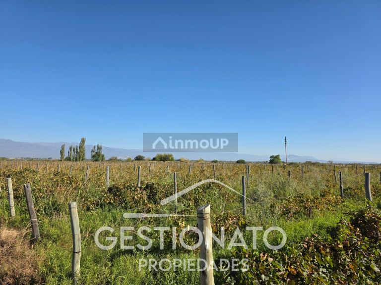 Finca en Venta en Las Heras, Mendoza