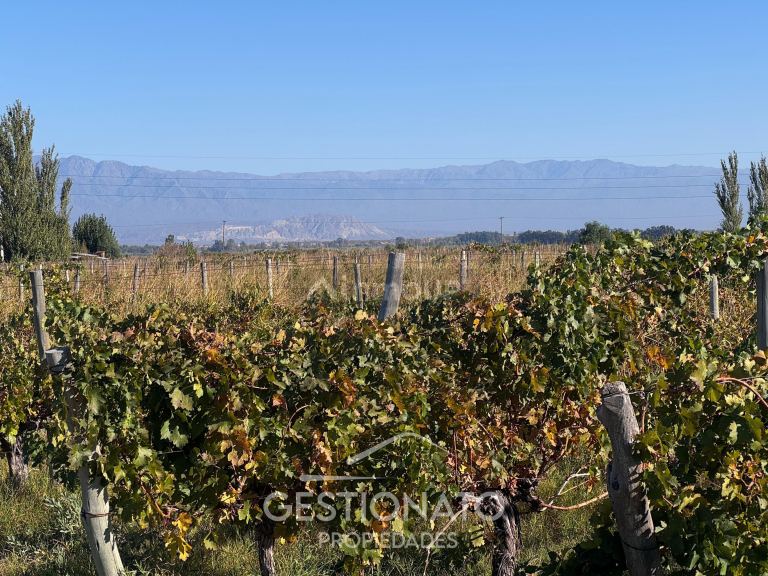 Finca en Venta en Las Heras, Mendoza