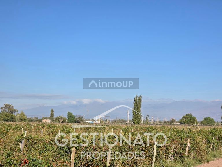 Finca en Venta en Las Heras, Mendoza