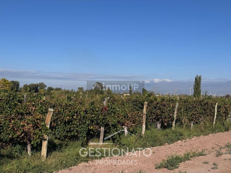 Finca en Venta en Las Heras, Mendoza