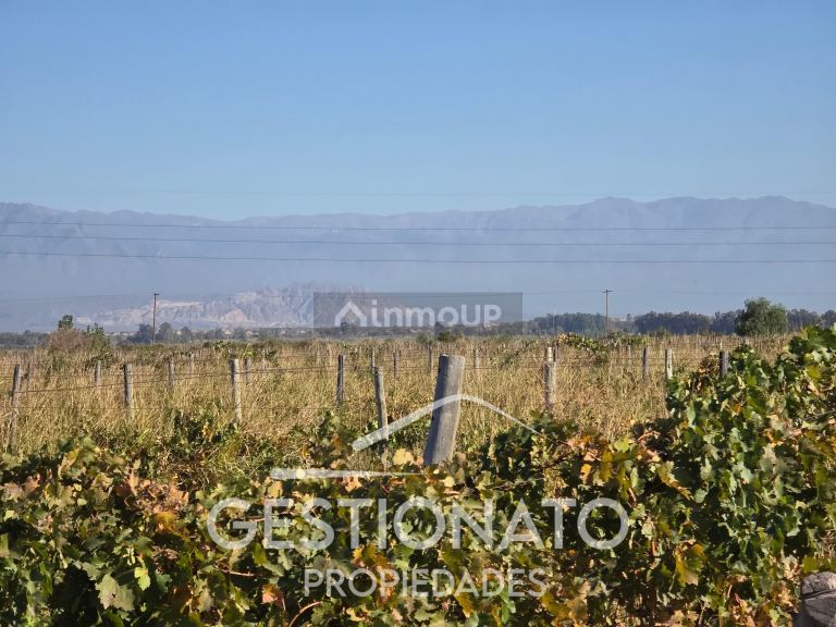 Finca en Venta en Las Heras, Mendoza