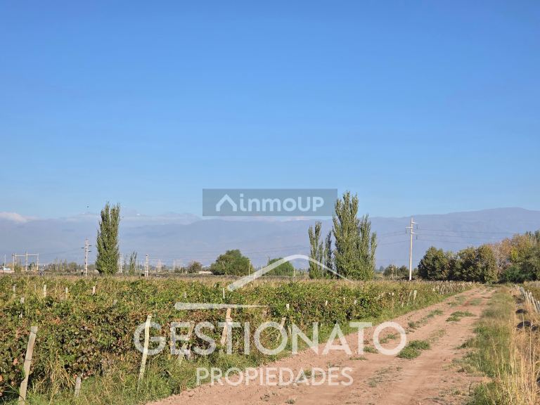 Finca en Venta en Las Heras, Mendoza