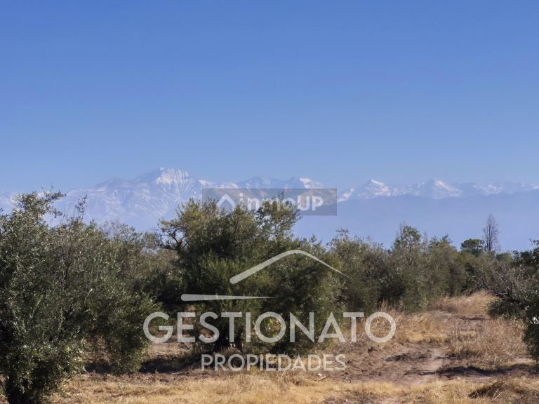 Lote en Venta en Maipu, Mendoza