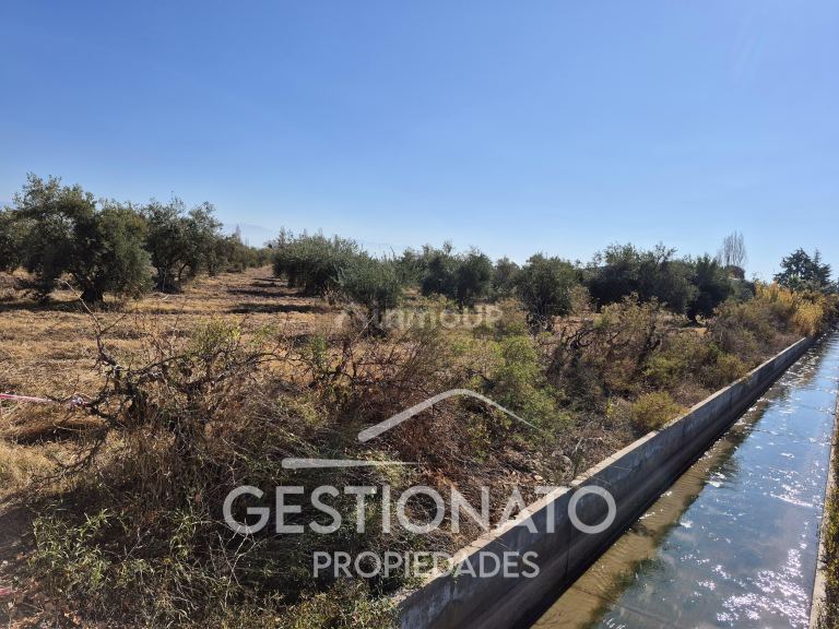 Lote en Venta en Maipu, Mendoza