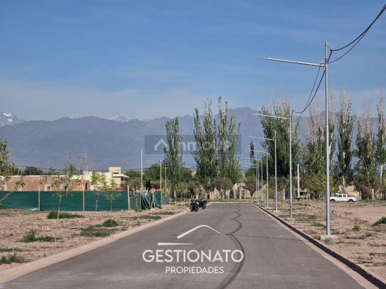Lote en Venta en Lujan de Cuyo, Mendoza
