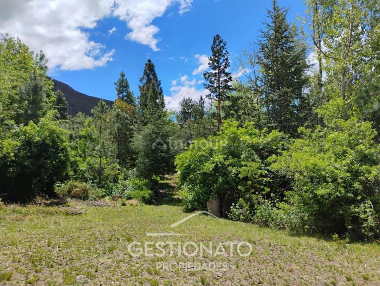 Lote en Venta en Lujan de Cuyo, Mendoza