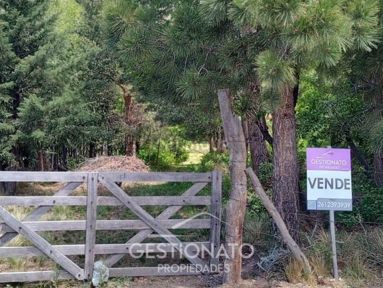 Lote en Venta en Lujan de Cuyo, Mendoza