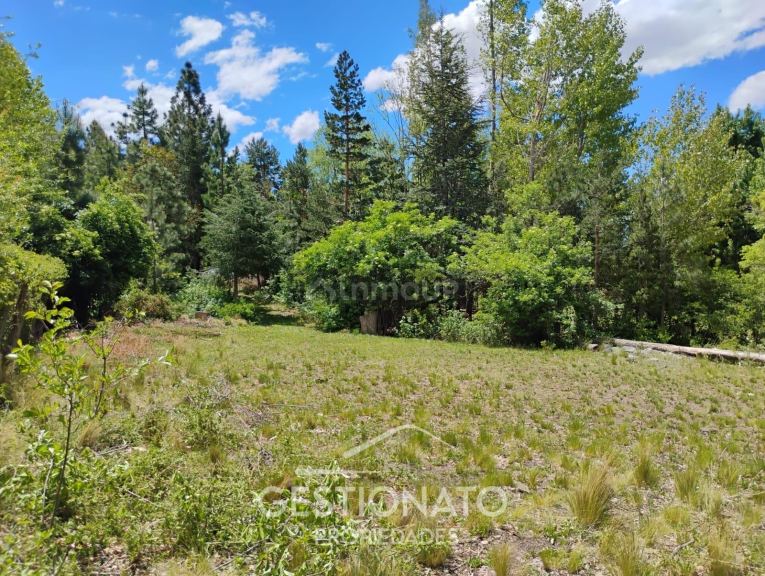 Lote en Venta en Lujan de Cuyo, Mendoza