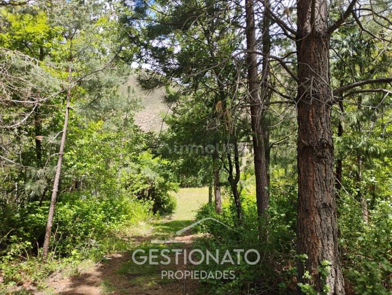 Lote en Venta en Lujan de Cuyo, Mendoza