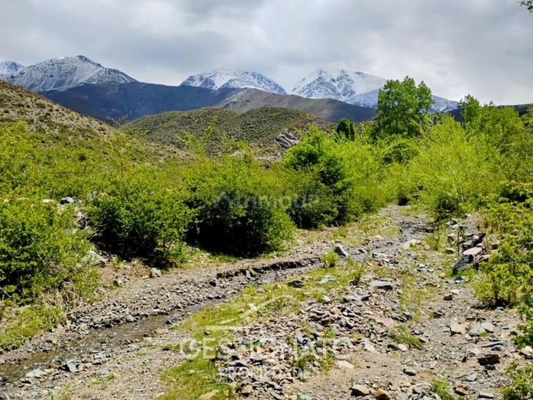 Lote en Venta en Lujan de Cuyo, Mendoza