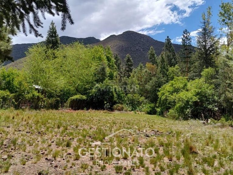 Lote en Venta en Lujan de Cuyo, Mendoza