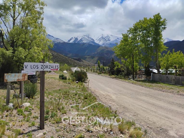 Lote en Venta en Lujan de Cuyo, Mendoza