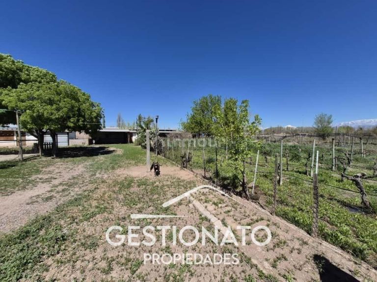 Lote en Venta en Lujan de Cuyo, Mendoza