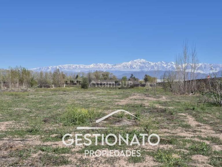 Lote en Venta en Lujan de Cuyo, Mendoza