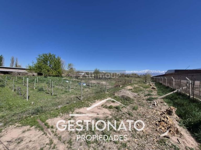 Lote en Venta en Lujan de Cuyo, Mendoza