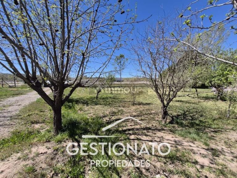 Lote en Venta en Lujan de Cuyo, Mendoza
