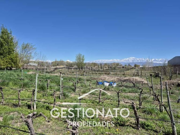 Lote en Venta en Lujan de Cuyo, Mendoza