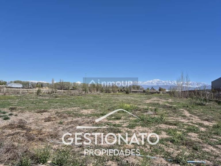Lote en Venta en Lujan de Cuyo, Mendoza