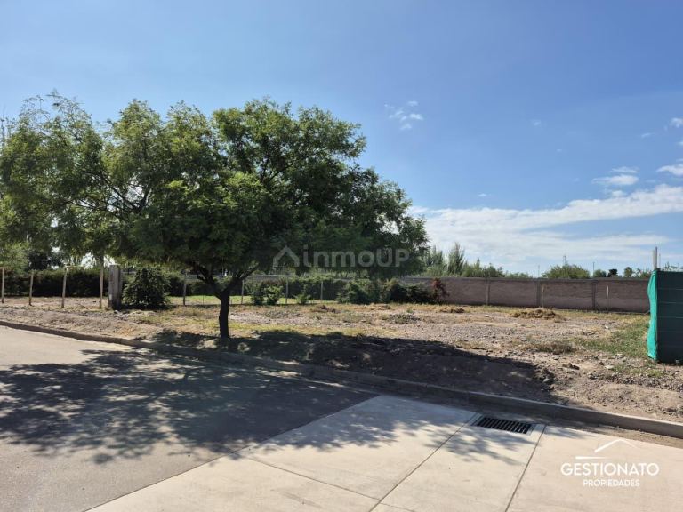 Lote en Venta en Maipu, Mendoza