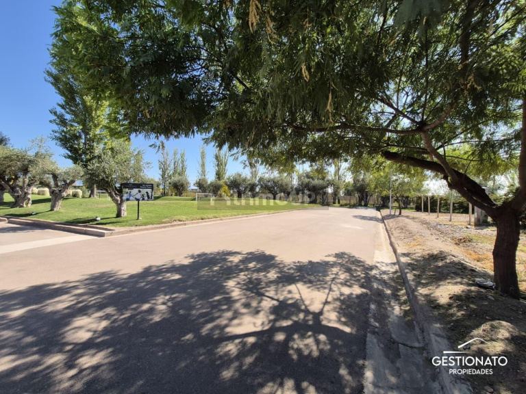 Lote en Venta en Maipu, Mendoza